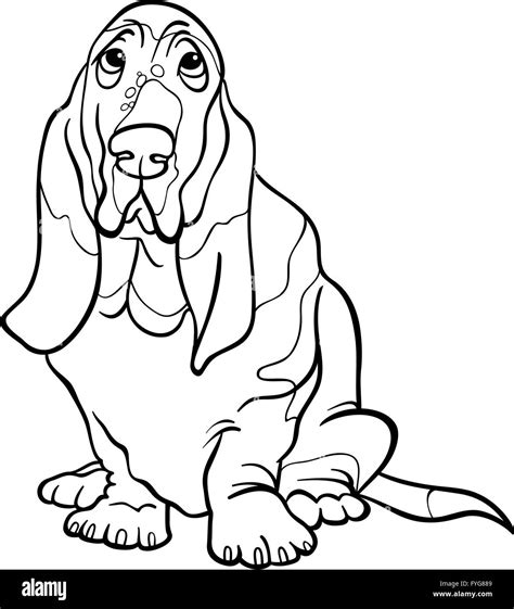basset hound dog cartoon  coloring book stock photo alamy