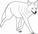 Coyote Coloring Walking Pages Drawing Kids Coyotes Coloringpages101 Getdrawings Color Head Howling sketch template
