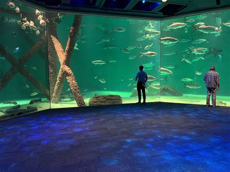 newly renovated audubon aquarium    visit  families