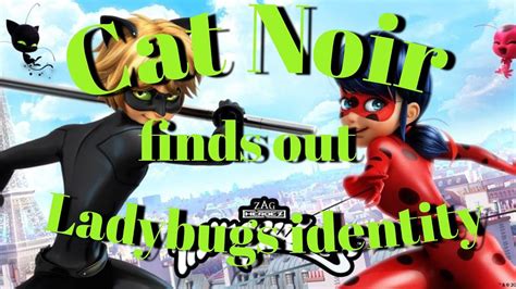 Cat Noir Finds Out Ladybugs Identity Part 3 Miraculous Texting Story