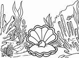 Coloring Oyster Coral Scenery Reefs Beautiful Pages Seven Wonderful sketch template