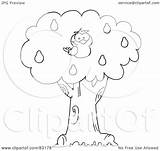 Pear Tree Partridge Clipart Coloring Outlined Illustration Royalty Toon Hit Rf Pages 2021 sketch template