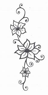 Glory Morning Flower Drawing Vine Getdrawings sketch template
