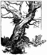 Rackham Arthur Tree Drawings Midsummer Dream Sketch Choose Board sketch template