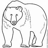Osos Urso Oso Anteojos Colorat Ursi Panda Animados Urs Planse Peluche Coloreados Marcadores Educative sketch template