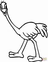 Ostrich Emu Coloring Pages Printable Color Kids Online Template Clipart Tablets Compatible Ipad Android Version Click sketch template