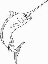 Marlin Spearfish Pez Swordfish Drawings Espada Bahamas Faciles Pescador Bah Dibujar Printable Oceano Marítima Sombras Cómo Defino Laura sketch template