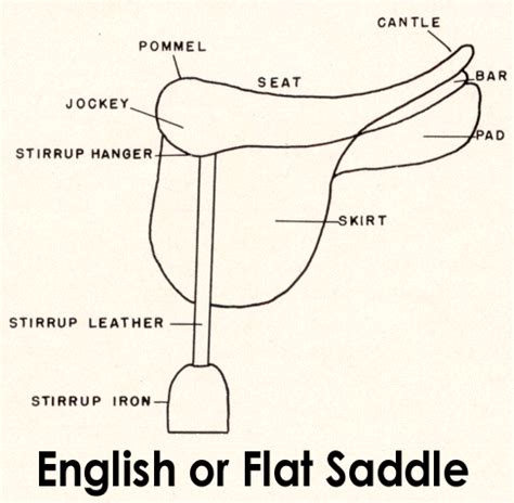 interactive western saddle parts diagram