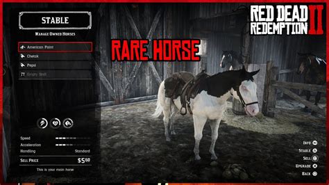 rare american paint horse  red dead redemption  youtube