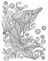 Coloring Dolphin Museprintables sketch template