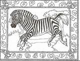 Zebras Giraffe Bestcoloringpagesforkids sketch template