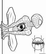 Spider Morales Verse Coloriage Spiderman Aranha Homem Ps4 Stacy Loudlyeccentric Spder Imprimé sketch template