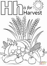 Harvest Coloring Letter Pages Crafts Fall Kids Printable Supercoloring Search Craft Activities Preschool Festival Autumn Toddler Thanksgiving Adult Visit sketch template