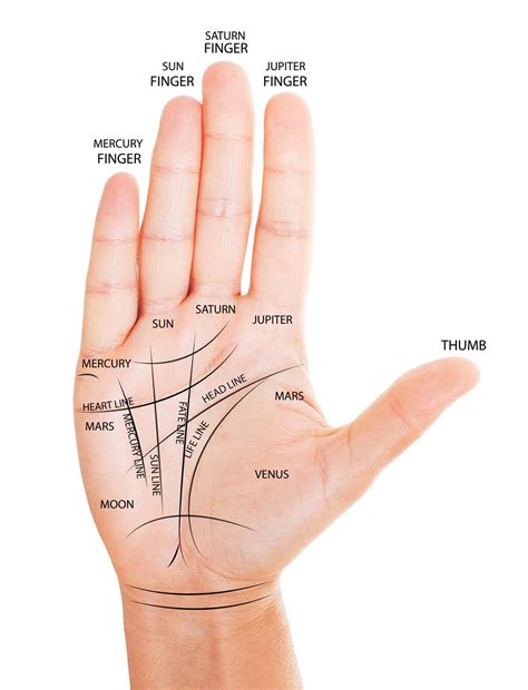 bet    aware   interesting palm reading facts