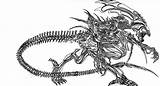 Alien Pages Xenomorph Coloring Queen Predator Praetor Vs Deviantart Template sketch template