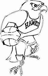 Hawks Hawk sketch template
