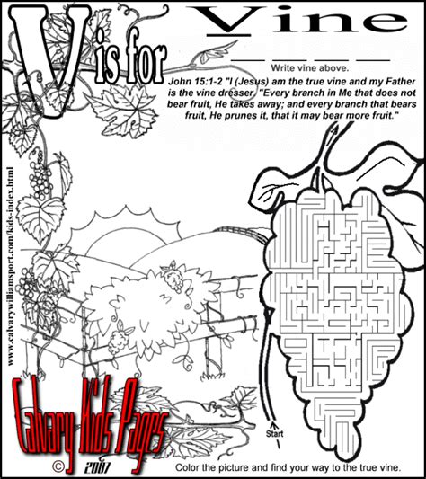 vine   branches kids coloring sheet sschool age activities