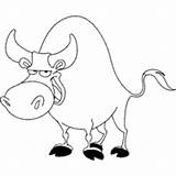 Bull Cow Coloring Surfnetkids sketch template