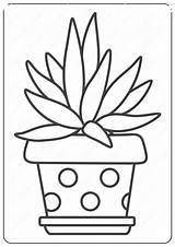 Cactus Coloring Succulent Coloringoo Prickly sketch template