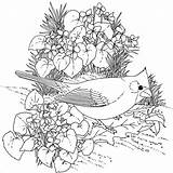 Coloring Bird Hard Pages Coloringbay sketch template