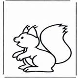 Coloring Animals Pages Rodents Funnycoloring Category sketch template