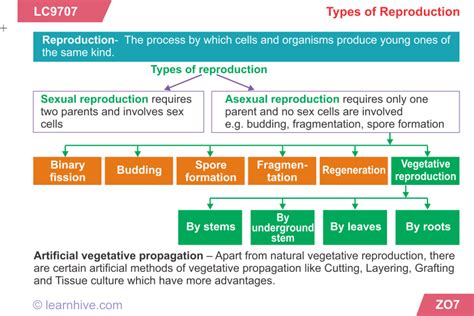 learnhive cbse grade 10 science reproduction process