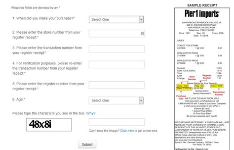 pier  feedback survey guide happy customers review