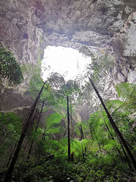 scientists discover giant karst sinkhole cluster  china xinhua englishnewscn