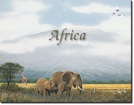 africa   origin print