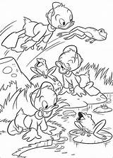 Coloring Pages Huey Louie Dewey Duck Coloringpages1001 Donald sketch template