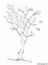 Coloring Tree Dogwood Getcolorings Fall Leaves sketch template