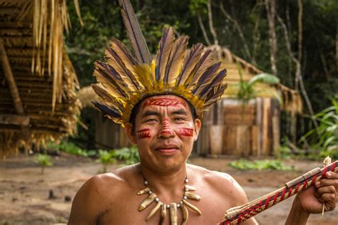 brazilian amazon rainforest indigenous tribes on behance