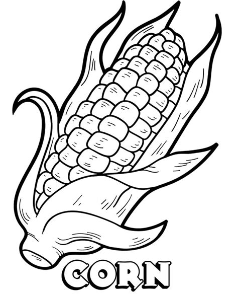 corn   template sketch coloring page