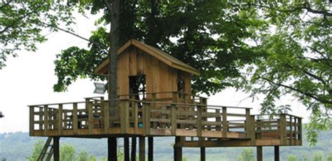 inspiring treehouse plans  design   blow  mind  hemloft