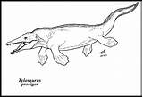 Tylosaurus sketch template