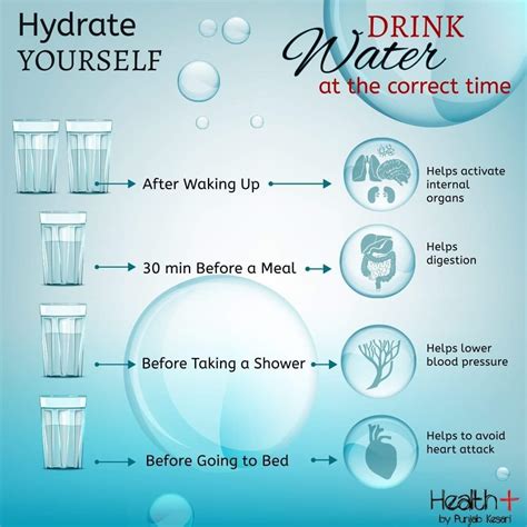 A Helpful Guide On The Best Times To Drink Water Hydrohomies