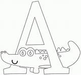 Alligator Coloring Alphabet Aa Printable Letters Back sketch template