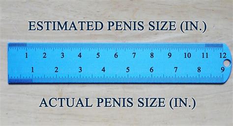 How Accurate Do You Think This Penis Size Ruler Is Sexuality