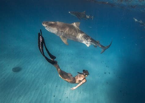 ocean ramsey is the beautiful shark defender you need to know about maxim