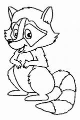 Coloring Raccoon Racoon Pages Outline Camping Drawing Printable Cartoon Coloringme Animal Easy Print Getcolorings Farm Color Baby Cute Chester Getdrawings sketch template