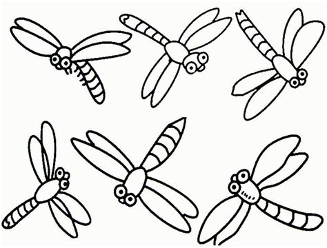printable pictures  dragonflies  printable   images