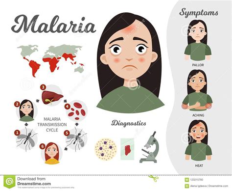 Infographic Malaria Vector Illustratie Illustration Of Gezondheid