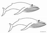 Whale Coloring Pages Blue Kids Whales Printable Cool2bkids sketch template
