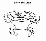 Blue Crab Coloring Pages Color Animals Drawing Sheet Animal Print Back Template sketch template