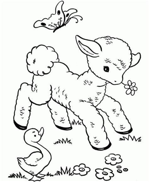 cute spring duck coloring pages animal coloring pages   zoo