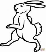 Hare Coloring Cartoon Pages Walks Illustration Clipart Drawing Gif Printable sketch template