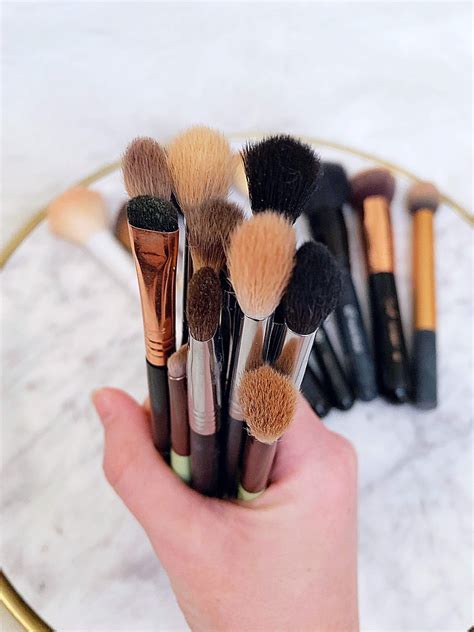 beginner makeup brush guide the brushes you need