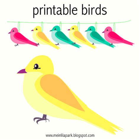 printable bright colored birds  digital borders vogel