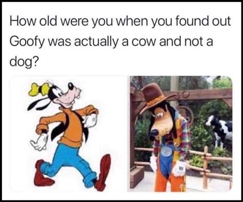 Is Disney S Goofy Character Actually A Cow
