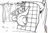 Coloring Pages Grid Mother Cub Climbing Koala Her Getcolorings sketch template